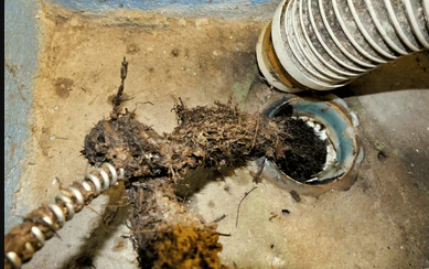 Drain Snaking